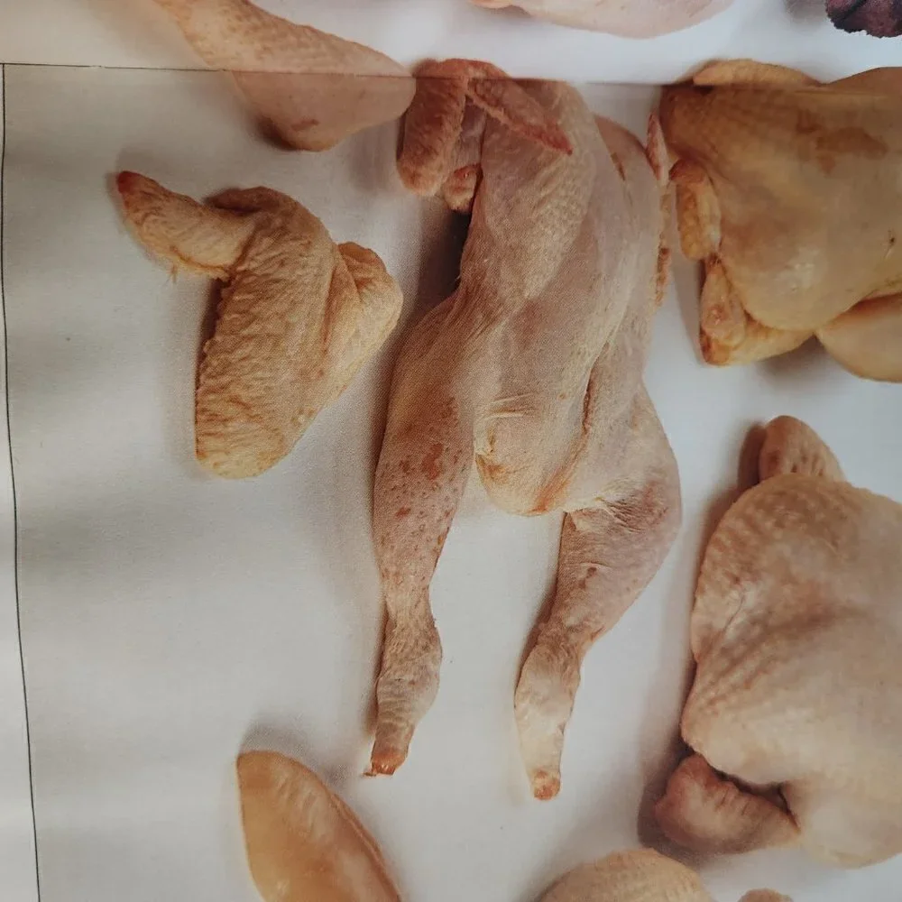 The Great Chicken Cookbook Hardcover Judith Ferguson